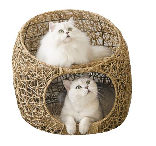 panier en osier chat avec coussins