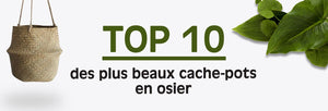 TOP 10 des plus beaux cache-pots en osier