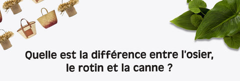 quelle est la différence entre l'osier, le rotin et la canne ?