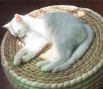Panier Osier Chat Fait Main