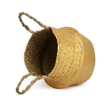 Cache-Pot Osier Doré