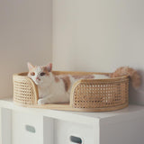 Panier Chat Osier Rotin