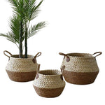 Cache-Pot Osier Bicolore