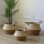 Cache-Pot Osier Bicolore