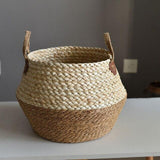 Cache-Pot Osier Bicolore