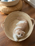 Panier Chat Design Osier