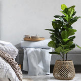 Cache-Pot Osier Grande Taille