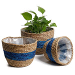 Cache-pot osier bleu