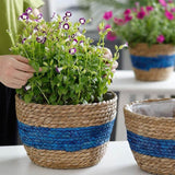 Cache-Pot Osier Bleu