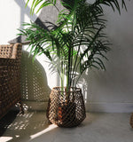 Cache-Pot Osier Grande Taille