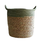 Cache-pot panier osier couleur