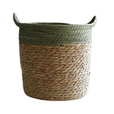 Cache-pot panier osier couleur