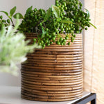Pot et Cache-Pot Osier