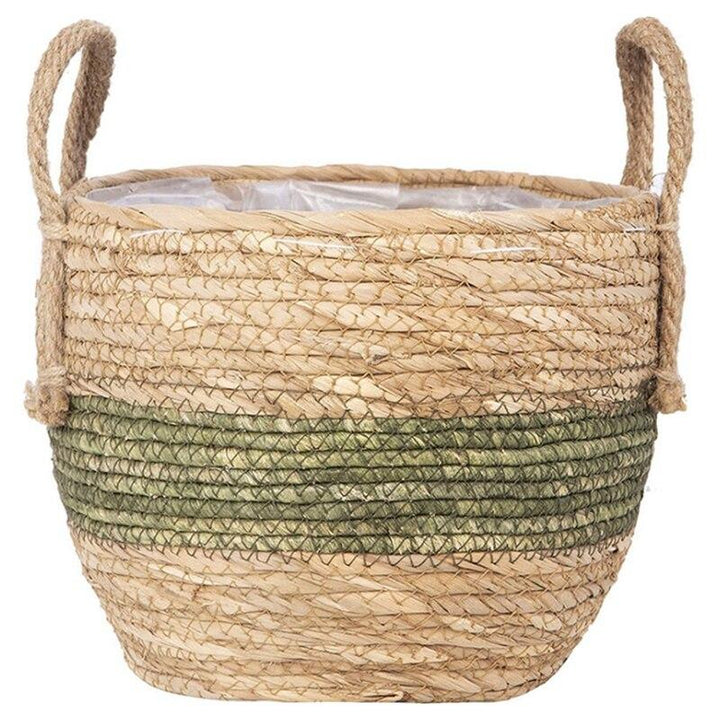 cache-pot osier cactus