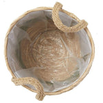 Cache-Pot Osier Cactus