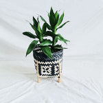 Cache-Pot Plante Intérieur Osier