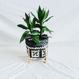 Cache-Pot Plante Intérieur Osier