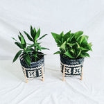 Cache-Pot Plante Intérieur Osier